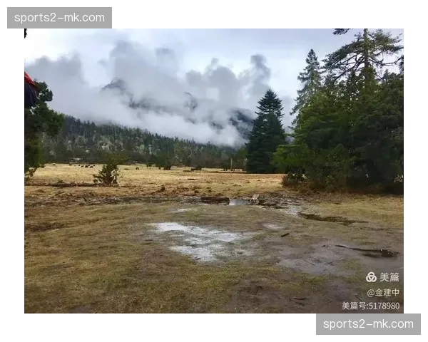 美国队三线进攻层次分明 纵深突破能力获验证